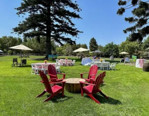 the lawn at Camarillo Ranch