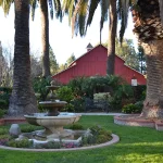 the garden at Camarillo Ranch