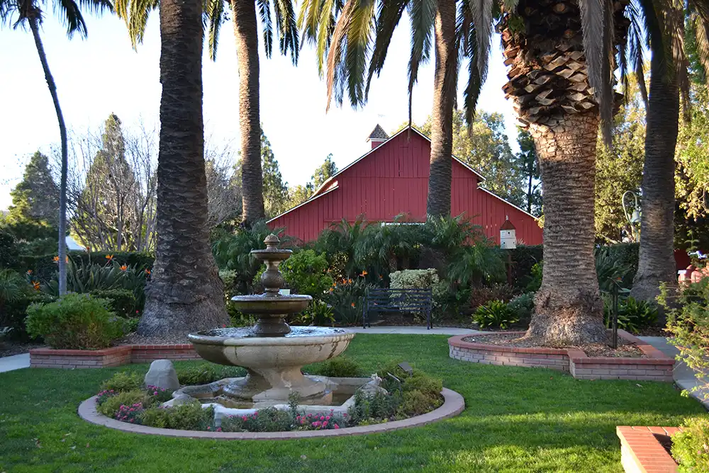 the garden at Camarillo Ranch