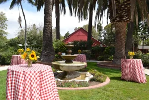 10 Venue Tips | Camarillo Ranch Events a view of the camarillo ranch barn with outdoor dining tables