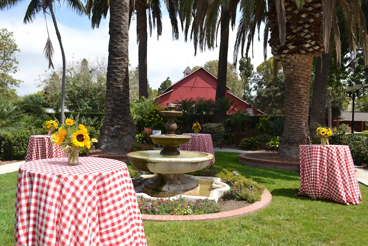 a view of the camarillo ranch barn with outdoor dining tables