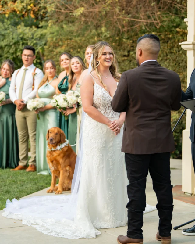 Yep! Your furry friends are welcome to celebrate your special day with you! 🐶🐕️⁠
⁠
Photography: @chelseabarrett.photography⁠
Florals: @thegrowingco ⁠
Coordination: @kendalyniscool ⁠
Hair and makeup: @alijeanrose⁠
Bride’s dress: @e.a.bridal ⁠
DJ: @ohwattanight⁠
Lighting: @coastal_events ⁠
Catering: @commandperformancecatering⁠
⁠
#camarilloranch #camarilloranchweddings #weddingvenue #outdoorvenue #outdoorwedding #eventvenue #petswelcome #furryfriends #welovedogs #weddinginspo #weddingideas #weddinggoals